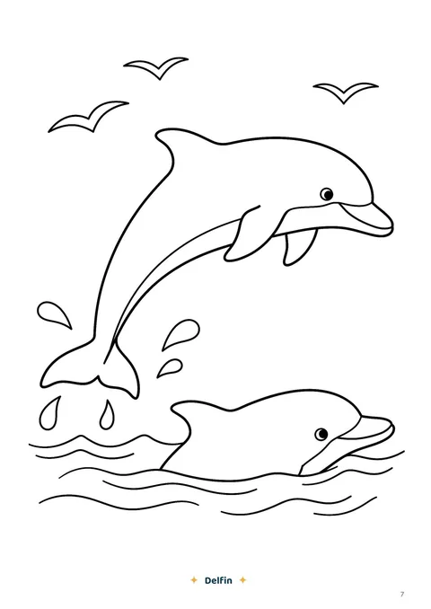 Beispielseite aus Meerestiere: Delfin